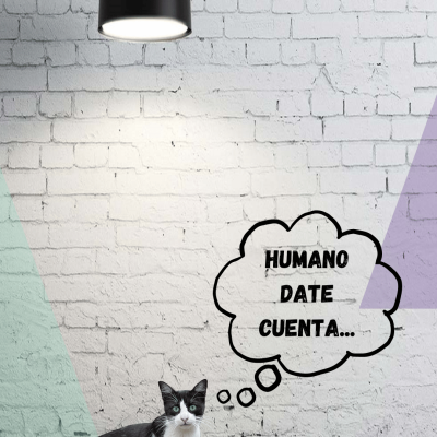 Insight-Psicomichis-Humano date cuenta Insight-Psicomichis-Humano date cuenta